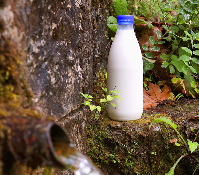 Γάλα + Φως = Δυσάρεστο flavor + Μείωση θρεπτικής αξίας