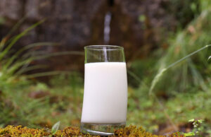 Εάν μπορούσα ποιό γάλα θα διάλεγα? πρωτοσέλιδο - Εάν μπορούσα ποιό γάλα θα διάλεγα?