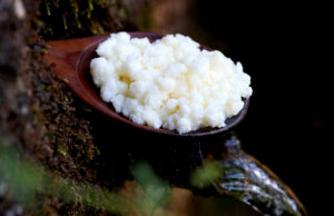 8 αλήθειες για τους κόκκους κεφίρ πρωτοσέλιδο - 8 αλήθειες για τους κόκκους κεφίρ