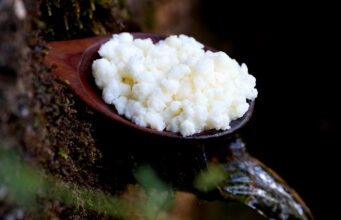 8 αλήθειες για τους κόκκους κεφίρ πρωτοσέλιδο - 8 αλήθειες για τους κόκκους κεφίρ