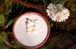 Ποιοί παράγοντες θα καθορίσουν την ποιότητα του κεφίρ πού θα φτιάξω? Γιατί το κεφίρ δεν είναι ποτέ το ίδιο? – Μέρος 1ο πρωτοσέλιδο - Ποιοί παράγοντες θα καθορίσουν την ποιότητα του κεφίρ πού θα φτιάξω? Γιατί το κεφίρ δεν είναι ποτέ το ίδιο? - Μέρος 1ο