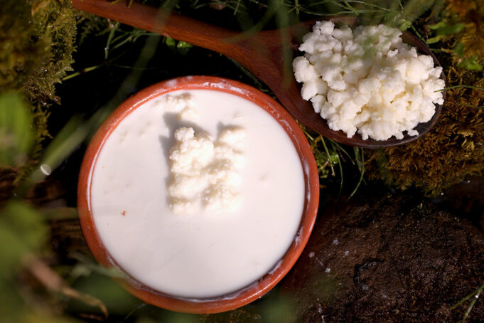 Ποιοί παράγοντες θα καθορίσουν την ποιότητα του κεφίρ πού θα φτιάξω? Γιατί το κεφίρ δεν είναι ποτέ το ίδιο? – Μέρος 1ο πρωτοσέλιδο - Ποιοί παράγοντες θα καθορίσουν την ποιότητα του κεφίρ πού θα φτιάξω? Γιατί το κεφίρ δεν είναι ποτέ το ίδιο? - Μέρος 1ο