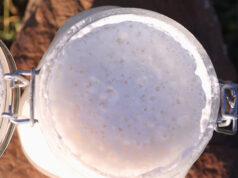 Αλκοολική Ζύμωση – Η 2η ζύμωση η οποία μάς ενδιαφέρει πρωτοσέλιδο - Αλκοολική Ζύμωση – Η 2η ζύμωση που μας ενδιαφέρει