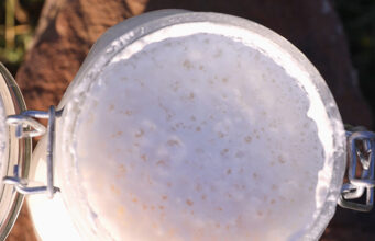 Αλκοολική Ζύμωση – Η 2η ζύμωση η οποία μάς ενδιαφέρει πρωτοσέλιδο - Αλκοολική Ζύμωση – Η 2η ζύμωση που μας ενδιαφέρει