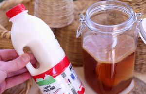 Ζύμωση διαφόρων οξέων ή ζύμωση μυρμηκικού οξέος – Η 7η ζύμωση η οποία μάς ενδιαφέρει πρωτοσέλιδο - Ζύμωση διαφόρων οξέων ή ζύμωση μυρμηκικού οξέος – Η 7η ζύμωση η οποία μάς ενδιαφέρει