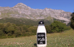 Ομογενοποιημένο γάλα! Πού κερδίζω? Πού χάνω? πρωτοσέλιδο - Ομογενοποιημένο γάλα! Πού κερδίζω? Πού χάνω?