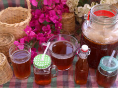 Ποιά είναι τα οφέλη του ποτού Κομπούτσα – Κομπούχα? πρωτοσέλιδο - Ποιά είναι τα οφέλη του ποτού Κομπούτσα – Κομπούχα?