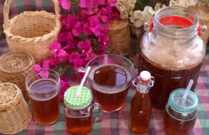 Ποιά είναι τα οφέλη του ποτού Κομπούτσα – Κομπούχα? πρωτοσέλιδο - Ποιά είναι τα οφέλη του ποτού Κομπούτσα – Κομπούχα?