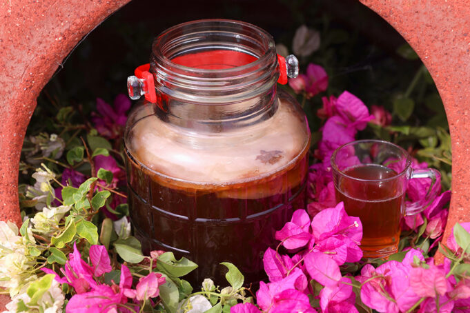 Βιοδραστικά συστατικά στο τσάι Κομπούτσα – Κομπούχα (Kombucha) πρωτοσέλιδο - Βιοδραστικά συστατικά στο τσάι Κομπούτσα – Κομπούχα (Kombucha)