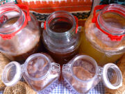 Flavor στο τσάι Κομπούτσα – Κομπούχα (Kombucha) – Τί θα πρέπει να ξέρω? πρωτοσέλιδο - Flavor στο τσάι Κομπούτσα – Κομπούχα (Kombucha) – Τί θα πρέπει να ξέρω?