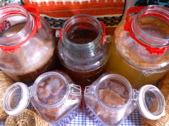 Flavor στο τσάι Κομπούτσα – Κομπούχα (Kombucha) – Τί θα πρέπει να ξέρω? πρωτοσέλιδο - Flavor στο τσάι Κομπούτσα – Κομπούχα (Kombucha) – Τί θα πρέπει να ξέρω?