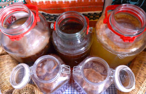 Flavor στο τσάι Κομπούτσα – Κομπούχα (Kombucha) – Τί θα πρέπει να ξέρω? πρωτοσέλιδο - Flavor στο τσάι Κομπούτσα – Κομπούχα (Kombucha) – Τί θα πρέπει να ξέρω?