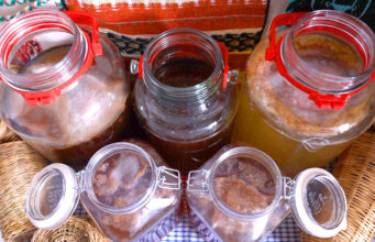 Flavor στο τσάι Κομπούτσα – Κομπούχα (Kombucha) – Τί θα πρέπει να ξέρω? πρωτοσέλιδο - Flavor στο τσάι Κομπούτσα – Κομπούχα (Kombucha) – Τί θα πρέπει να ξέρω?