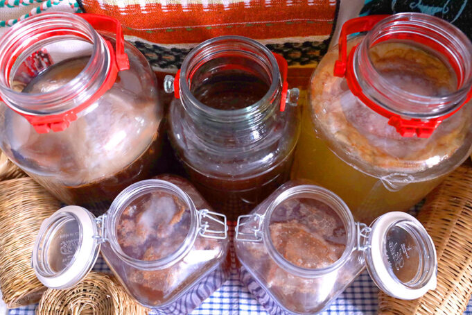 Flavor στο τσάι Κομπούτσα – Κομπούχα (Kombucha) – Τί θα πρέπει να ξέρω? πρωτοσέλιδο - Flavor στο τσάι Κομπούτσα – Κομπούχα (Kombucha) – Τί θα πρέπει να ξέρω?