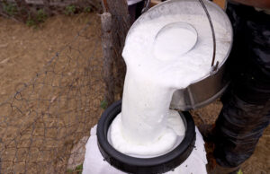 Τί θα πρέπει οπωσδήποτε να γνωρίζω για την ανάπτυξη των μικροοργανισμών – Μέρος 2ο πρωτοσέλιδο - Τι πρέπει οπωσδήποτε να γνωρίζω για την ανάπτυξη των μικροοργανισμών – Μέρος 2ο