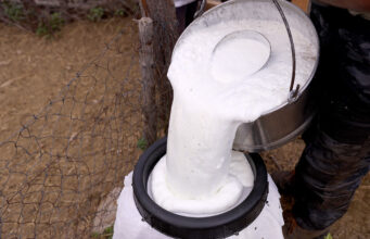 Τί θα πρέπει οπωσδήποτε να γνωρίζω για την ανάπτυξη των μικροοργανισμών – Μέρος 2ο πρωτοσέλιδο - Τι πρέπει οπωσδήποτε να γνωρίζω για την ανάπτυξη των μικροοργανισμών – Μέρος 2ο