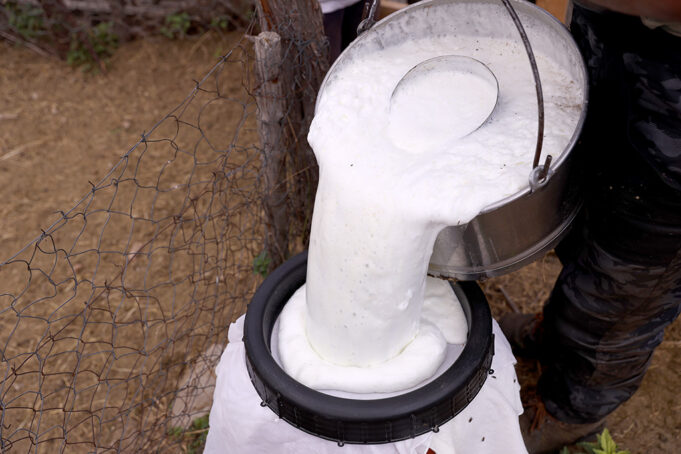 Τί θα πρέπει οπωσδήποτε να γνωρίζω για την ανάπτυξη των μικροοργανισμών – Μέρος 2ο πρωτοσέλιδο - Τι πρέπει οπωσδήποτε να γνωρίζω για την ανάπτυξη των μικροοργανισμών – Μέρος 2ο