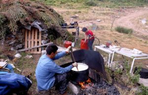Τυρί Τσαλαφούτι – Made in Theodoriana πρωτοσέλιδο - Τυρί Τσαλαφούτι - Made in Theodoriana