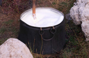 Το νωπό γάλα, το απαστερίωτο γάλα και το θερμισμένο γάλα πρωτοσέλιδο - Το νωπό, το απαστερίωτο και το θερμισμένο γάλα