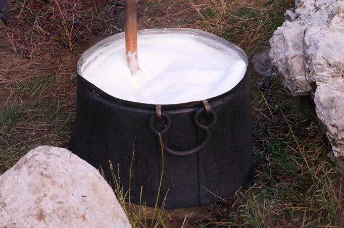 Το νωπό γάλα, το απαστερίωτο γάλα και το θερμισμένο γάλα πρωτοσέλιδο - Το νωπό, το απαστερίωτο και το θερμισμένο γάλα