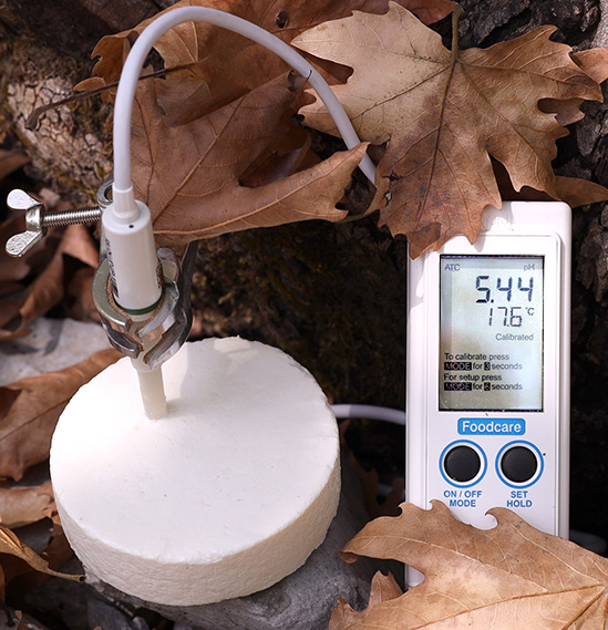 τυρί Μυζήθρα vs τυρί Ανθότυρος vs τυρί Μανούρι