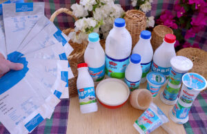 Φτιάχνω αϊράνι ή αριάνι από καλλιέργεια εκκίνησης με την μορφή DVS πρωτοσέλιδο - Φτιάχνω αϊράνι ή αριάνι από καλλιέργεια εκκίνησης με την μορφή DVS