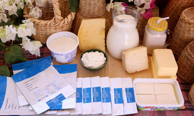 Καλλιέργειες τυροκόμησης, καλλιέργειες εκκίνησης – Τί θα πρέπει οπωσδήποτε να ξέρω? ΠΡΩΤΟΣΕΛΙΔΟ - Καλλιέργειες τυροκόμησης, καλλιέργειες εκκίνησης – Τί θα πρέπει οπωσδήποτε να ξέρω?