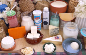 Ζυμομύκητες – Η αφανής δύναμη στα γαλακτοκομικά προϊόντα πρωτοσέλιδο - Ζυμομύκητες - Η αφανής δύναμη στα γαλακτοκομικά προϊόντα