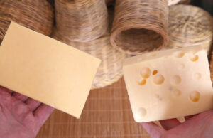 Το Ελβετικό τυρί και το τυρί Ελβετικού τύπου πρωτοσέλιδο - το ελβετικό τυρί και το τυρί ελβετικού τύπου