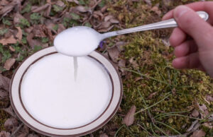 Είδη εξωπολυσακχαριτών στα γαλακτοκομικά προϊόντα Πρωτοσέλιδο - Είδη εξωπολυσακχαριτών στα γαλακτοκομικά προϊόντα