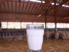 Πώς θα καταλάβω εάν παστεριώθηκε το γάλα μου πρωτοσέλιδο - Πώς θα καταλάβω εάν παστεριώθηκε το γάλα μου