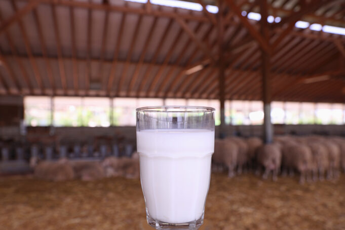 Πώς θα καταλάβω εάν παστεριώθηκε το γάλα μου πρωτοσέλιδο - Πώς θα καταλάβω εάν παστεριώθηκε το γάλα μου