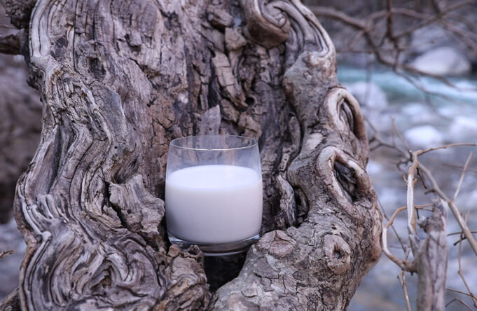 Η λακτόζη, η λακτάση, το γάλα και η μετάλλαξη Η λακτόζη, η λακτάση, το γάλα και η μετάλλαξη