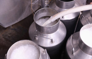 Ψύξη και Θέρμανση του γάλακτος – Αυτά είναι τα αρχέγονα όπλα στον πόλεμο με τους μικροοργανισμούς πρωτοσέλιδο - Ψύξη και Θέρμανση του γάλακτος - Αυτά είναι τα αρχέγονα όπλα στον πόλεμο με τους μικροοργανισμούς