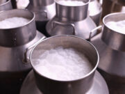 Είμαι σίγουρος ότι έχω καταλάβει τί είναι η παστερίωση του γάλακτος? πρωτοσέλιδο - Είμαι σίγουρος ότι έχω καταλάβει τι είναι η παστερίωση του γάλακτος?