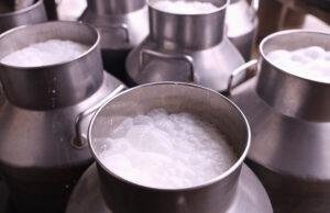 Είμαι σίγουρος ότι έχω καταλάβει τί είναι η παστερίωση του γάλακτος? πρωτοσέλιδο - Είμαι σίγουρος ότι έχω καταλάβει τι είναι η παστερίωση του γάλακτος?