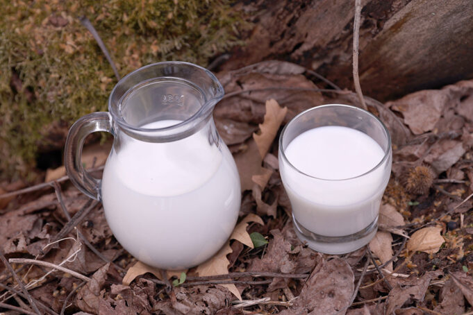 Μάθε ποιές είναι οι ευεργετικές επιδράσεις των πρωτεϊνών γάλακτος πρωτοσέλιδο - Μάθε ποιές είναι οι ευεργετικές επιδράσεις των πρωτεϊνών γάλακτος