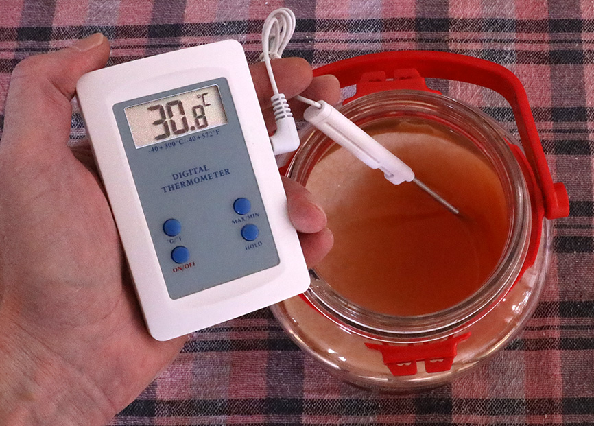 Ζυμώσεις στο τσάι Κομπούτσα – Κομπούχα (Kombucha) – Τί θα πρέπει να ξέρω?