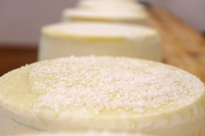 Πώς επιδρά το αλάτι στους μικροοργανισμούς των γαλακτοκομικών προϊόντων? πρωτοσέλιδο-Πώς επιδρά το αλάτι στους μικροοργανισμούς των γαλακτοκομικών?