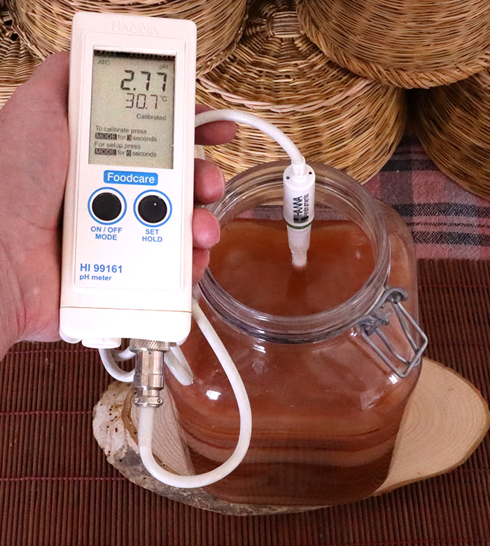 Ζυμώσεις στο τσάι Κομπούτσα – Κομπούχα (Kombucha) – Τί θα πρέπει να ξέρω?