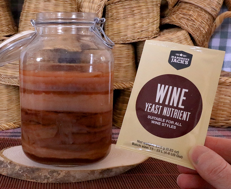 Ζυμώσεις στο τσάι Κομπούτσα – Κομπούχα (Kombucha) – Τί θα πρέπει να ξέρω?