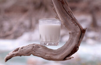 Δείτε ποιό γάλα έχει την μεγαλύτερη και την μικρότερη περιεκτικότητα σε πρωτεΐνη πρωτοσέλιδο - Δείτε ποιο γάλα έχει την μεγαλύτερη και την μικρότερη περιεκτικότητα σε πρωτεΐνη