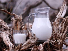 Όλα όσα πρέπει να ξέρετε για το ομογενοποιημένο γάλα πρωτοσέλιδο - Όλα όσα πρέπει να ξέρετε για το ομογενοποιημένο γάλα