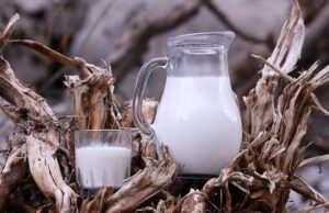 Όλα όσα πρέπει να ξέρετε για το ομογενοποιημένο γάλα πρωτοσέλιδο - Όλα όσα πρέπει να ξέρετε για το ομογενοποιημένο γάλα