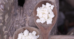 Κόκκοι κεφίρ – Το δώρο των Θεών πρωτοσέλιδο - Κόκκοι κεφίρ -΄΄Το δώρο των Θεών΄΄