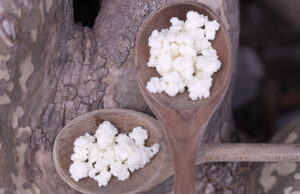 Κόκκοι κεφίρ – Το δώρο των Θεών πρωτοσέλιδο - Κόκκοι κεφίρ -΄΄Το δώρο των Θεών΄΄