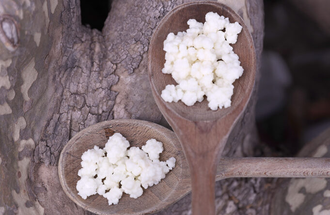 Κόκκοι κεφίρ – Το δώρο των Θεών πρωτοσέλιδο - Κόκκοι κεφίρ -΄΄Το δώρο των Θεών΄΄