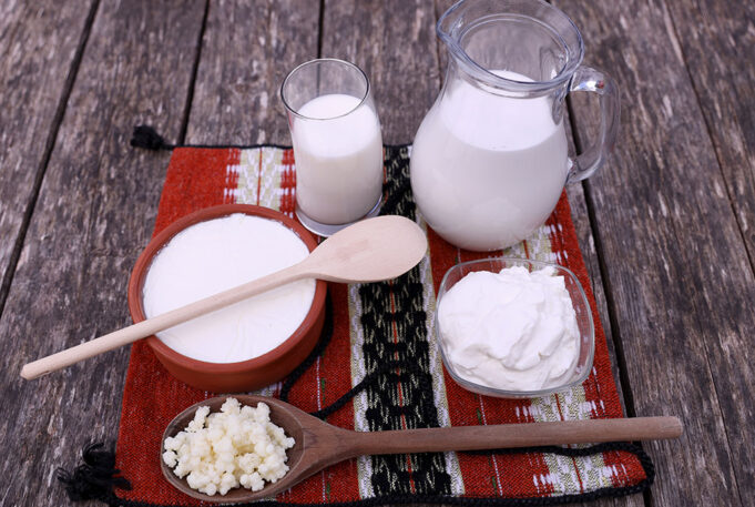 Ομοιοζυμωτικά οξυγαλακτικά βακτήρια και Ετεροζυμωτικά οξυγαλακτικά βακτήρια πρωτοσέλιδο-Ομοιοζυμωτικά και Ετεροζυμωτικά οξυγαλακτικά βακτήρια