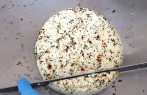 Φτιάχνουμε τυρί Ταλαγάνι με την Γαλακτοκομική Σχολή Ιωαννίνων πρωτοσέλιδο - Φτιάχνουμε τυρί Ταλαγάνι με την Γαλακτοκομική Σχολή Ιωαννίνων