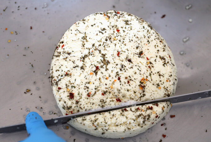 Φτιάχνουμε τυρί Ταλαγάνι με την Γαλακτοκομική Σχολή Ιωαννίνων πρωτοσέλιδο - Φτιάχνουμε τυρί Ταλαγάνι με την Γαλακτοκομική Σχολή Ιωαννίνων